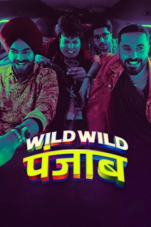 Wild Wild Punjab izle